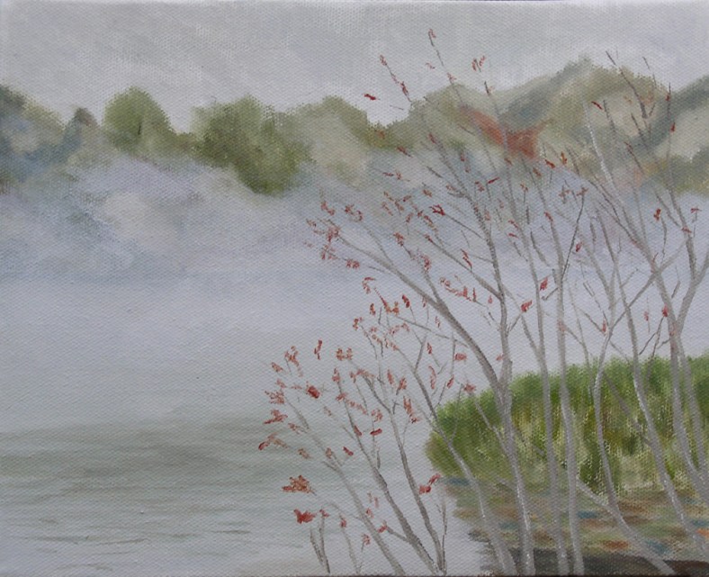 Early morning mist on the lake.