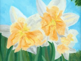 Daffodils