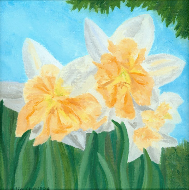 Daffodils